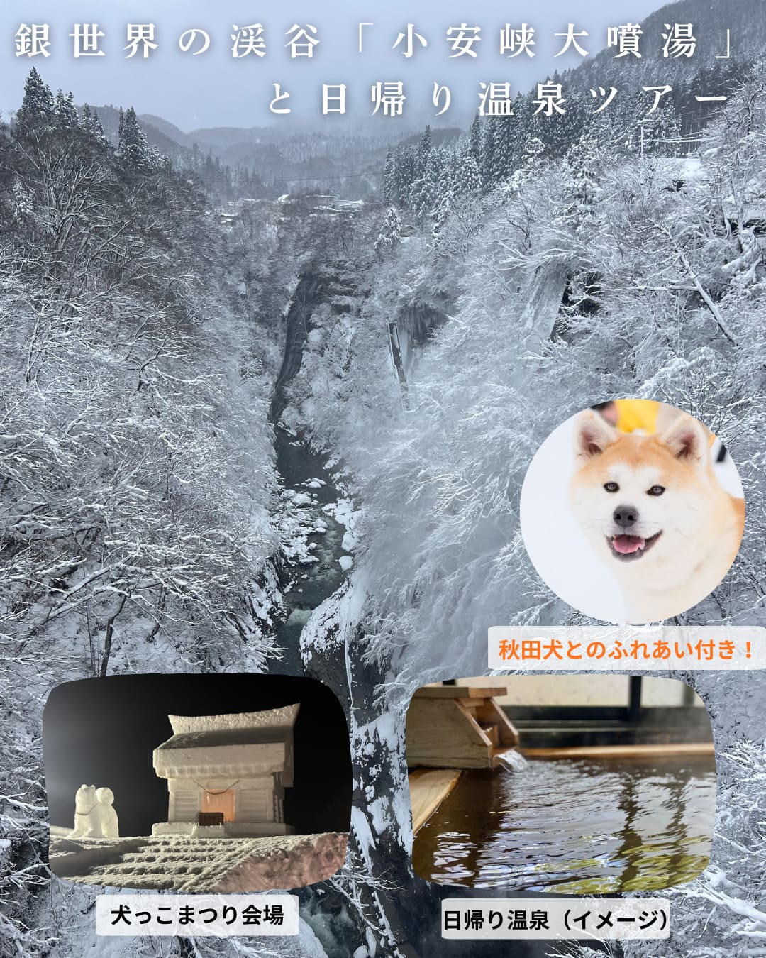 イベントイメージ